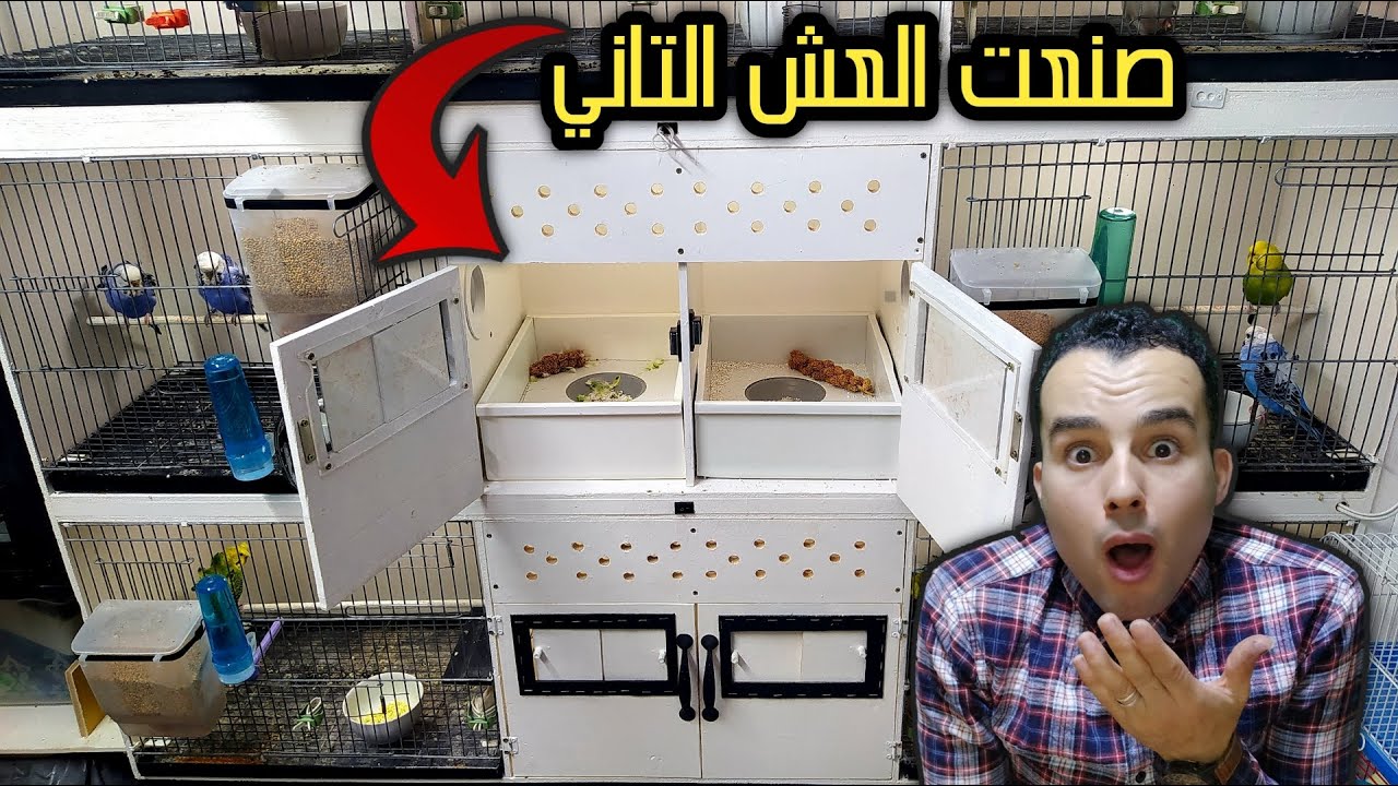 صايبت العش التاني في المزرعة بمواد جد رخيصة I made a bird's nest