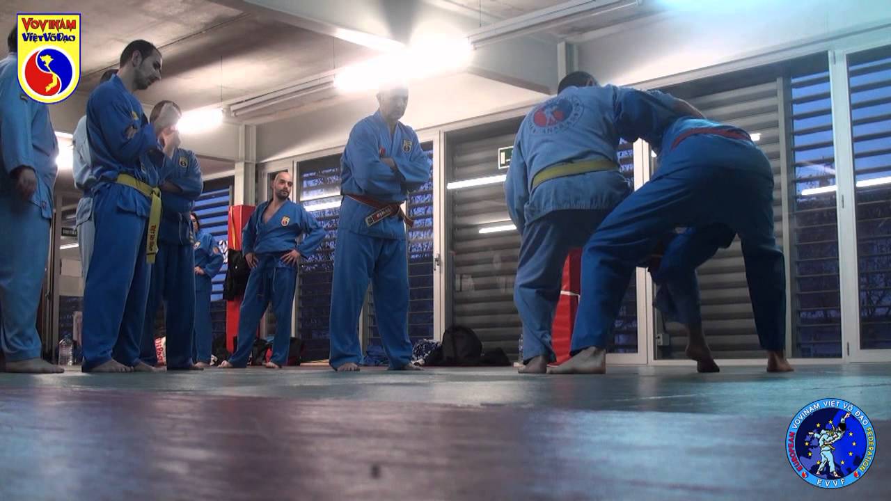 EVVF Seminar in Barcelona