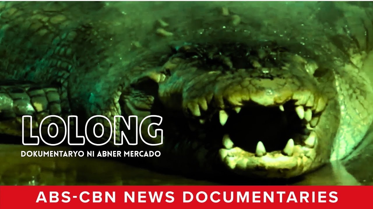 Lolong: World’s Largest Crocodile in Captivity (Full Documentary) Red Alert | ABS-CBN News