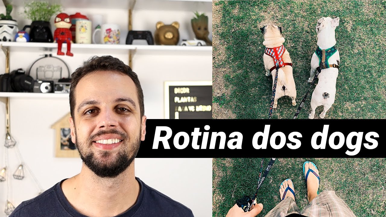 Rotina com os Dogs | Como é ter dois cachorros no apartamento | Dicas de limpeza
