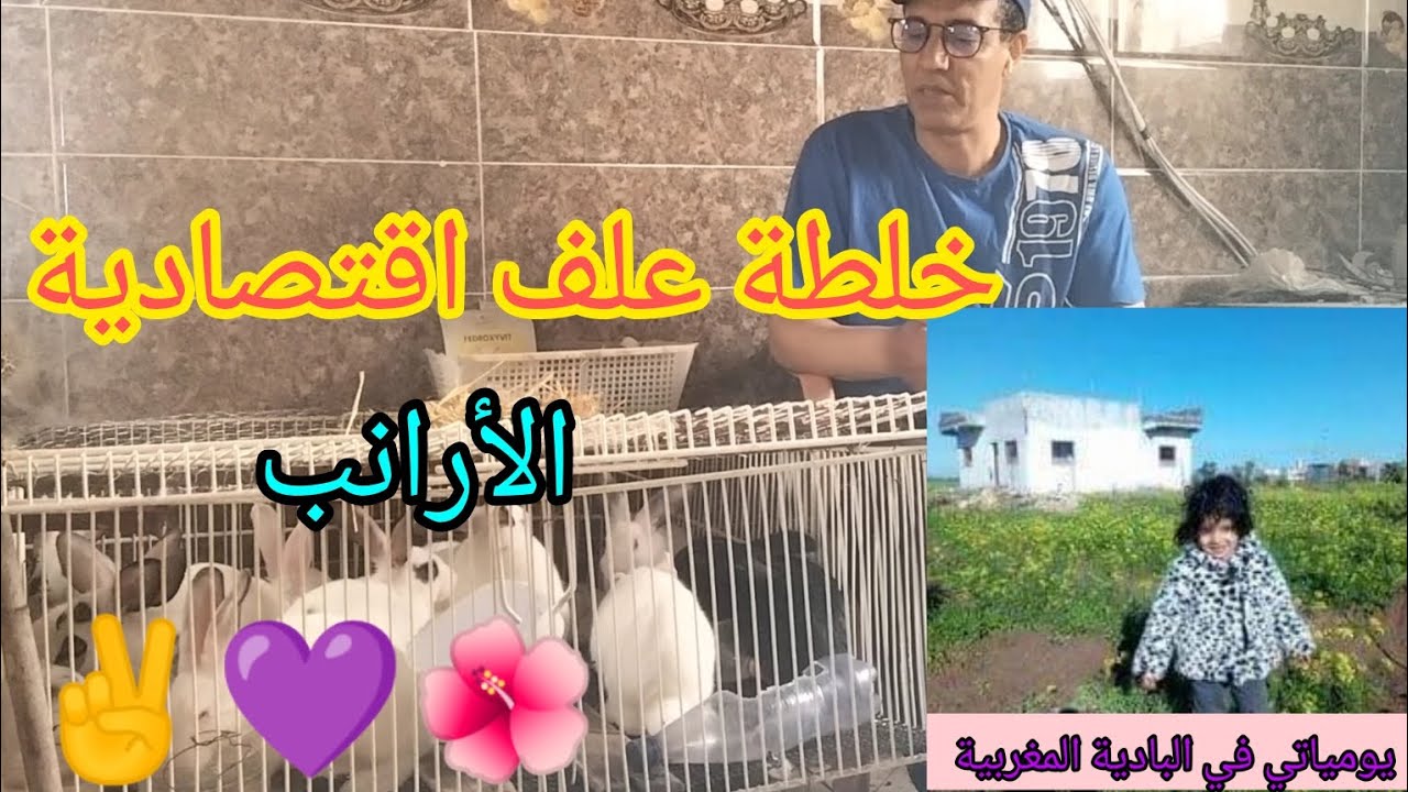 خلطة علف اقتصادية ل #الأرانب ✌️🌺💜