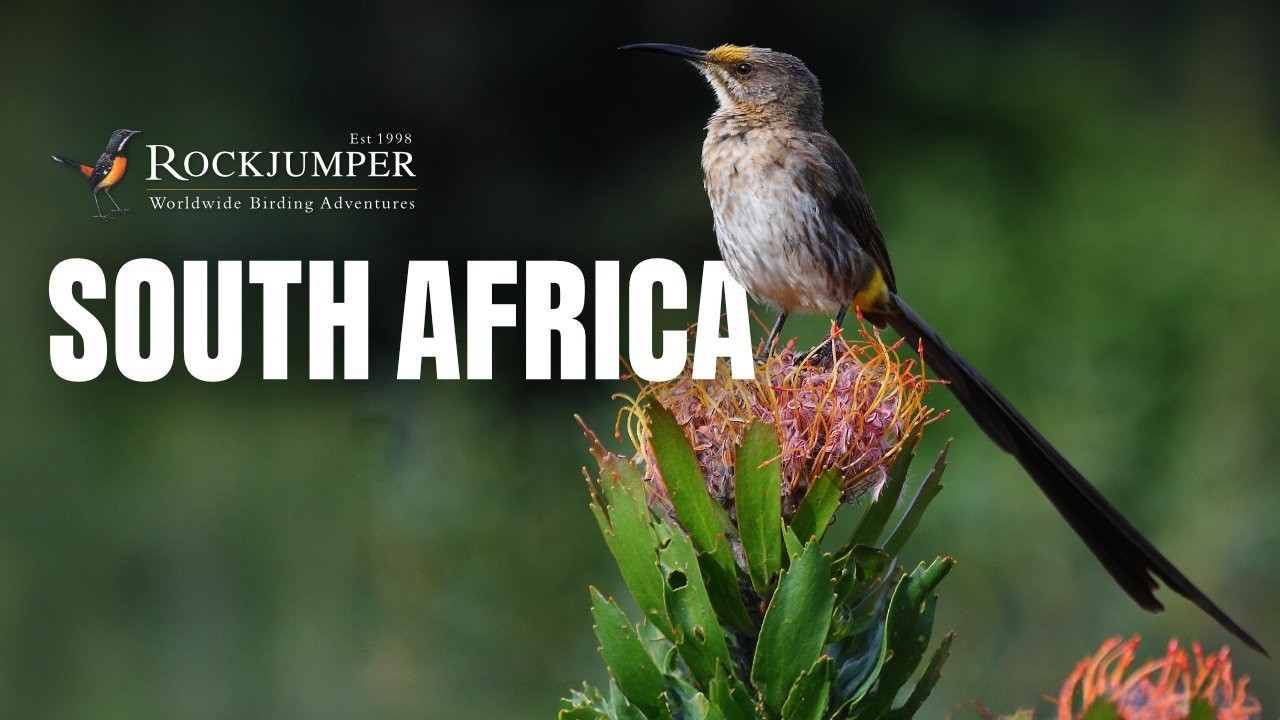 South Africa