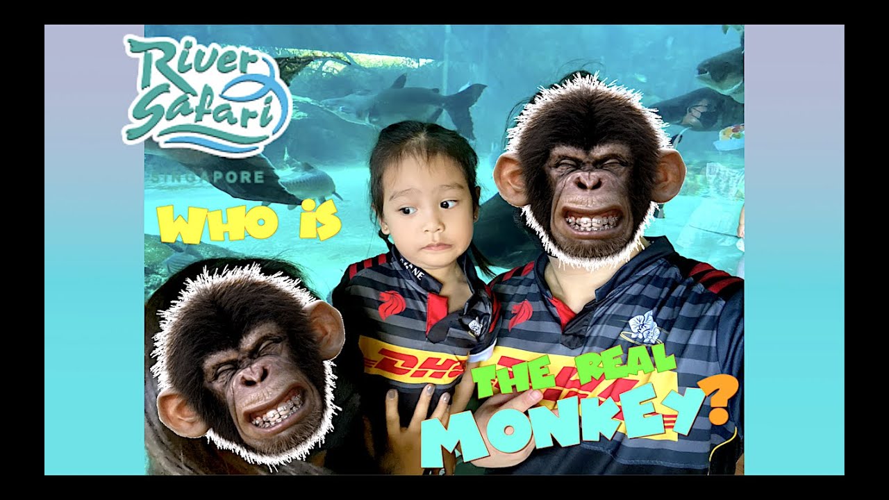 Fun Adventure @ Singapore River Safari | Seanna Grey's Adventure