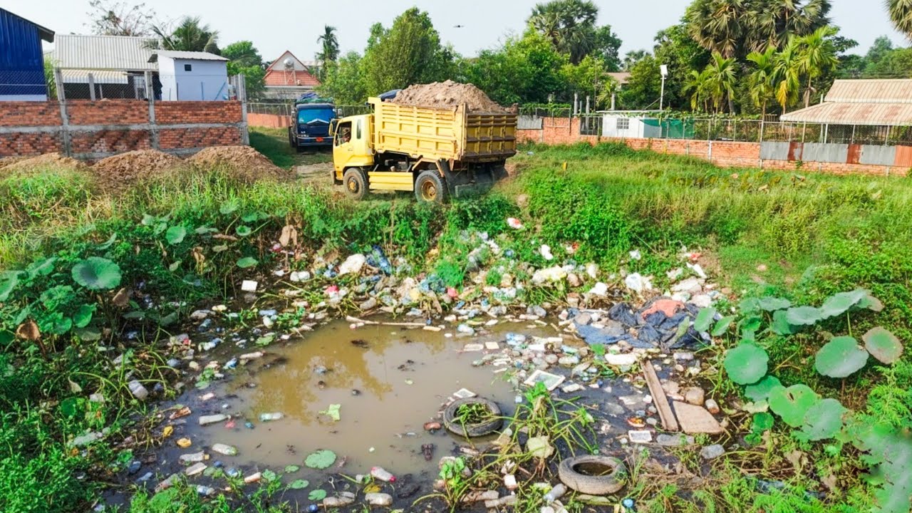 Delete deep pond using soil Komatsu mini dozer pushing with Nissan 5t trucks transport 