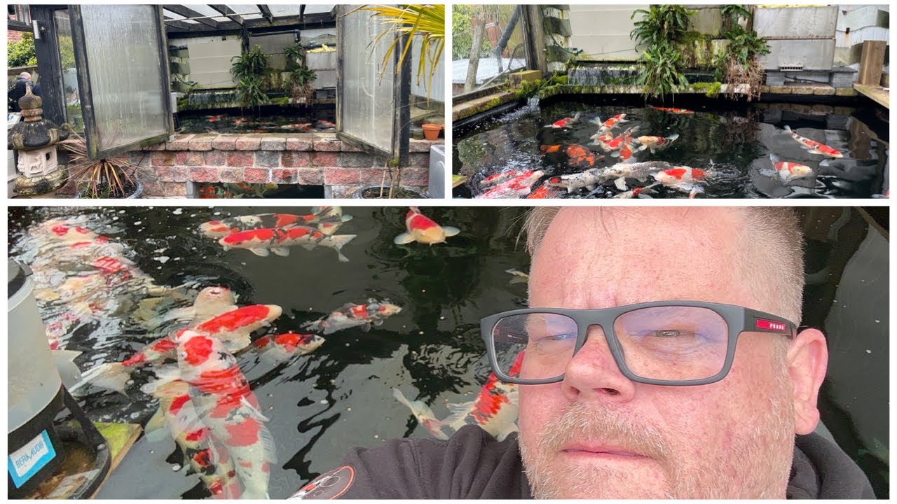 4000 GALLON KOI POND - NORTHERN IRELAND!