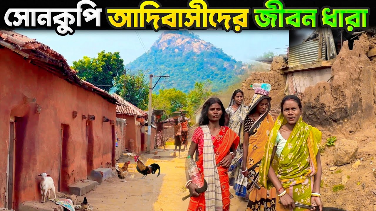 পুরুলিয়ার পলাশ ডুংরি সনকুপি আদিবাসী গ্রামের জীবন ধারা ⛰️ | Sankupi Tribal Village of Purulia🏔️