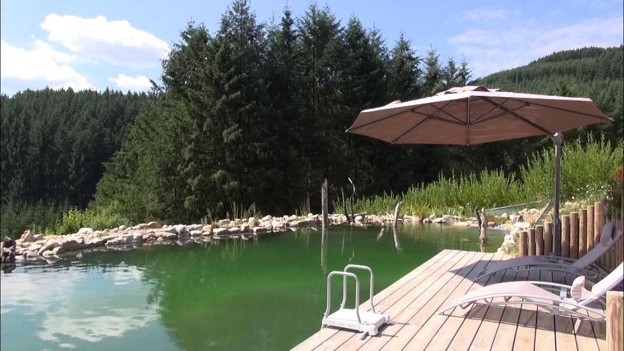 Le bassin de Jean Pierre à St-Vincent de Reins (69240) - Découverte Aquatique