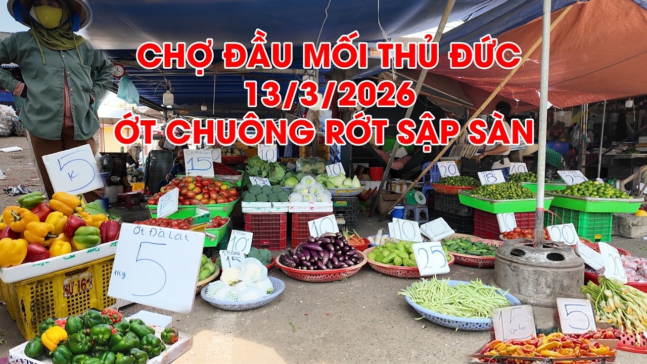 Rau lá củ quả Chợ Đầu Mối Thủ Đức ớt chuông rớt giá sập sàn 13/3/2026