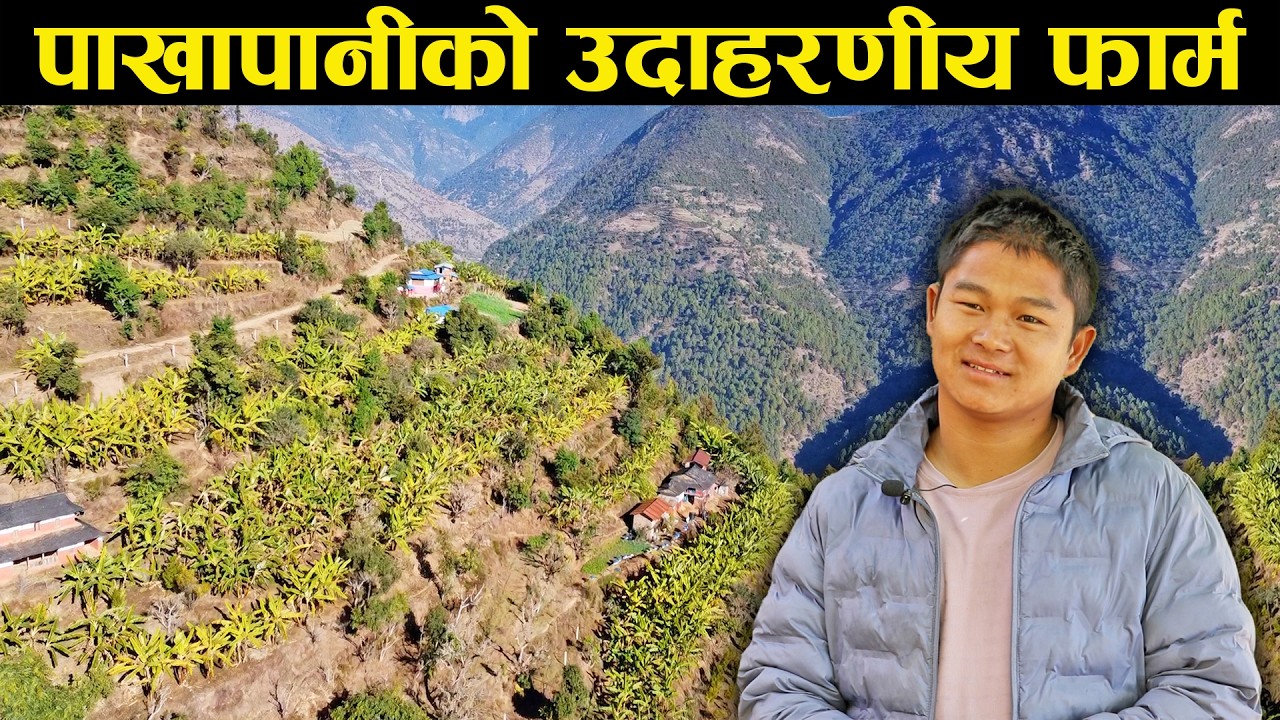 गाउँमै समृद्धिको सपना: करोडको कृषि परियोजनाले फेर्दैछ गाउँको मुहार