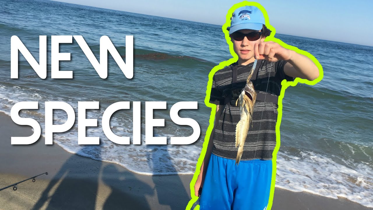 I Caught a Weird Creature! (MV Trip Part 3)