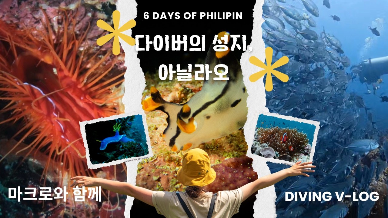 [ep.3] 필리핀 스쿠버다이빙 여행 | 아닐라오 5박 6일 브이로그 및 포인트 추천 (자막 cc 필수)