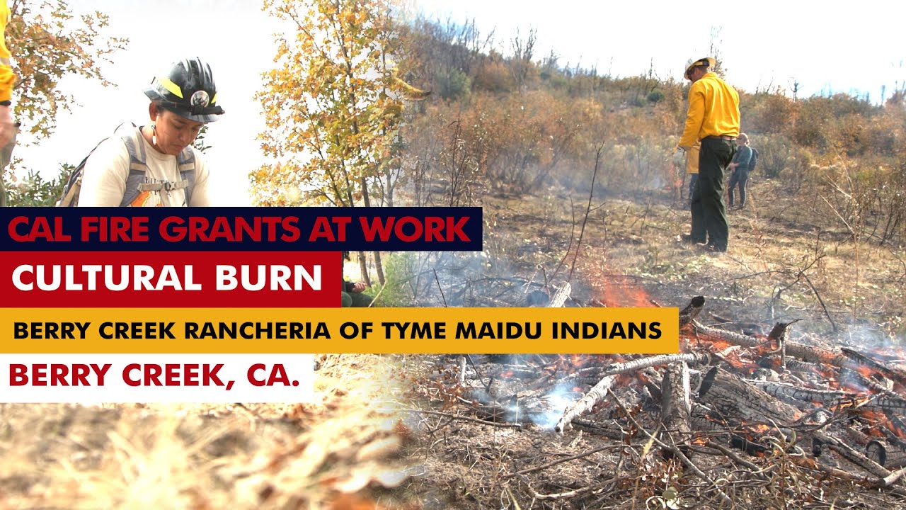 'Good Fire' takes many forms: Berry Creek Cultural Burn
