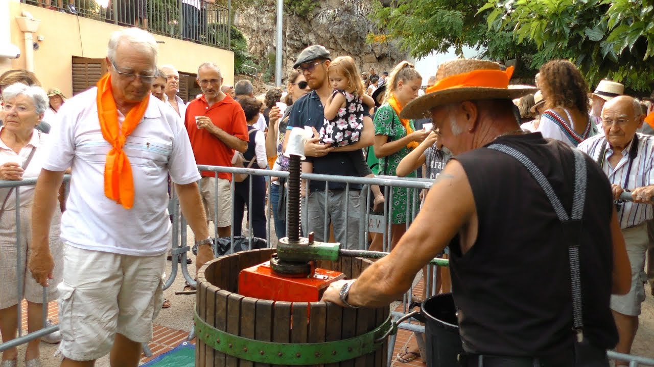 Les Vendanges à la commune libre du Safranier (Antibes)