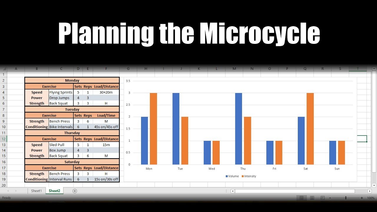 Planning the Microcycle for the Physical Preparation Training of Athletes | Programming