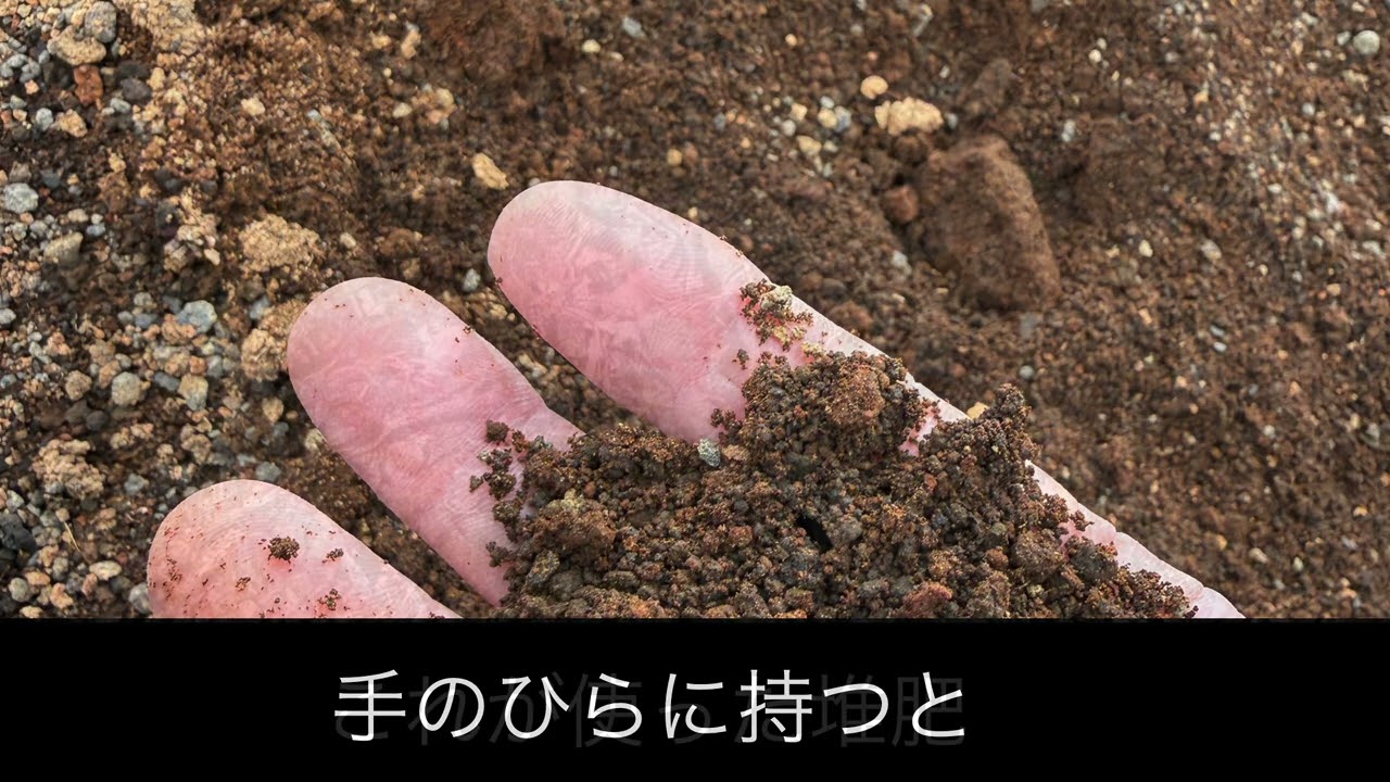 2026年3月9日