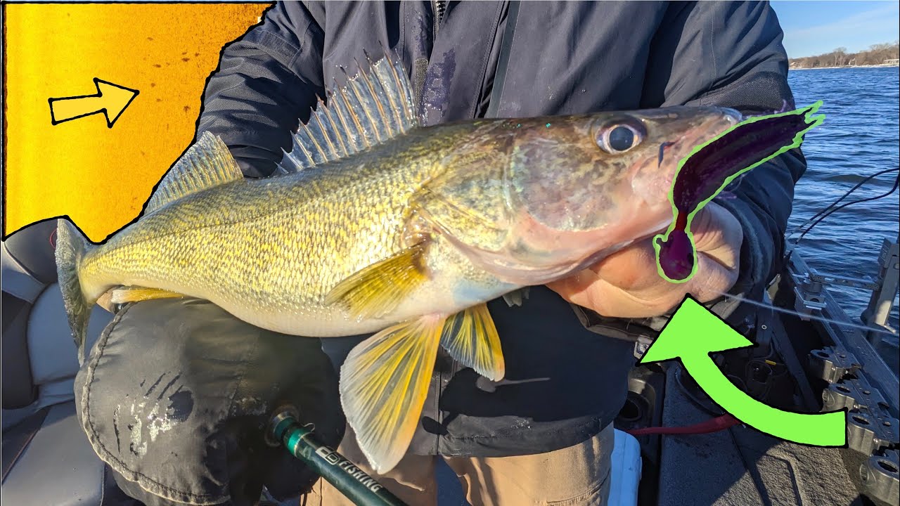 NEW LURE is DEADLY When Spring Walleye Fishing!