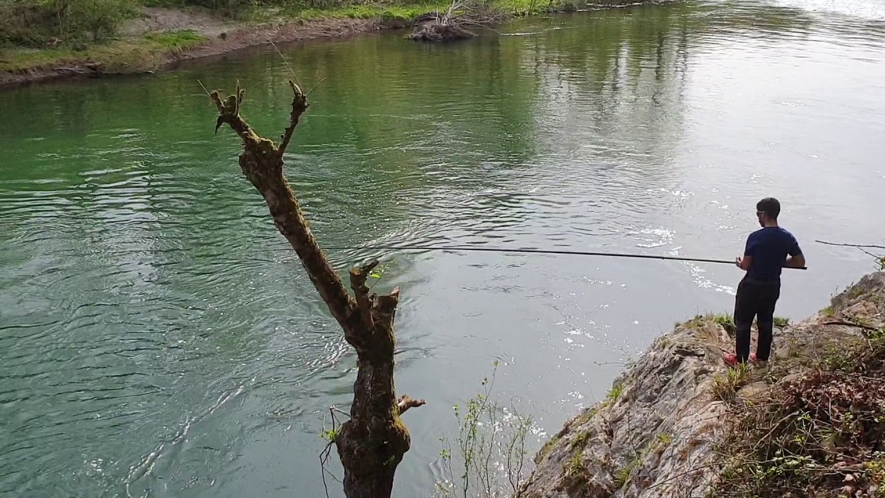 Pesca del Salm&oacute;n en el R&iacute;o Sella | Im&aacute;genes Reales de Pesca en Asturias