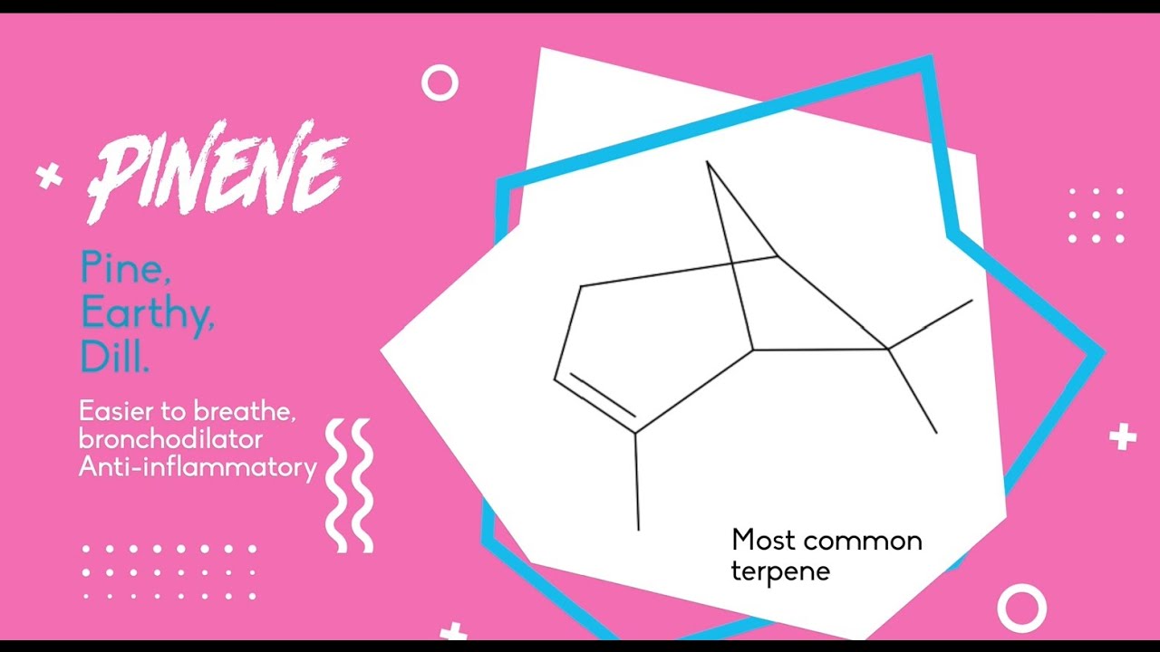 Nuggetz - Alpha and Beta-Pinene