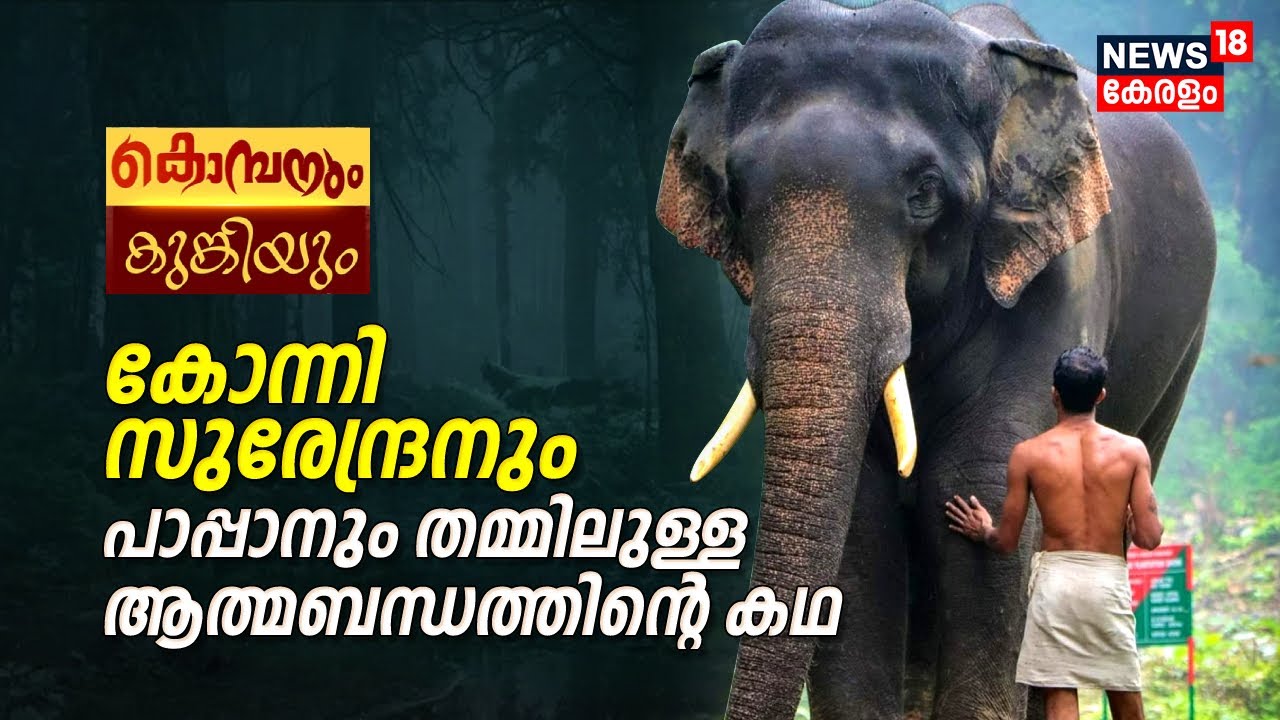 കൊമ്പനും കുങ്കിയും; ഒരു ആന പാപ്പാന്റെ കഥ |  Konni Surendran | Wild Elephant Attack|Kerala News Today
