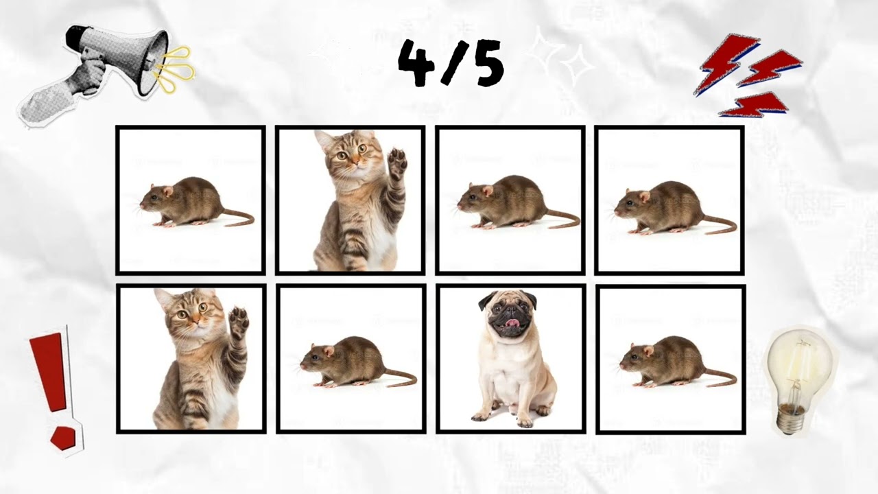 Say The Word On Beat Challenge!!!#dog #cat #viral #game #funny #foryou #say #the #word #beat #fyp 