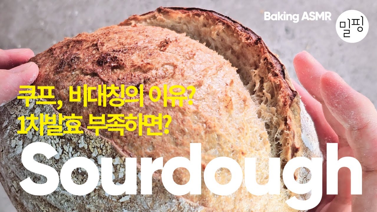 토끼귀 사워도우 만들기 | 쿠프 비대칭, 1차 발효 부족하면? Sourdough Bread