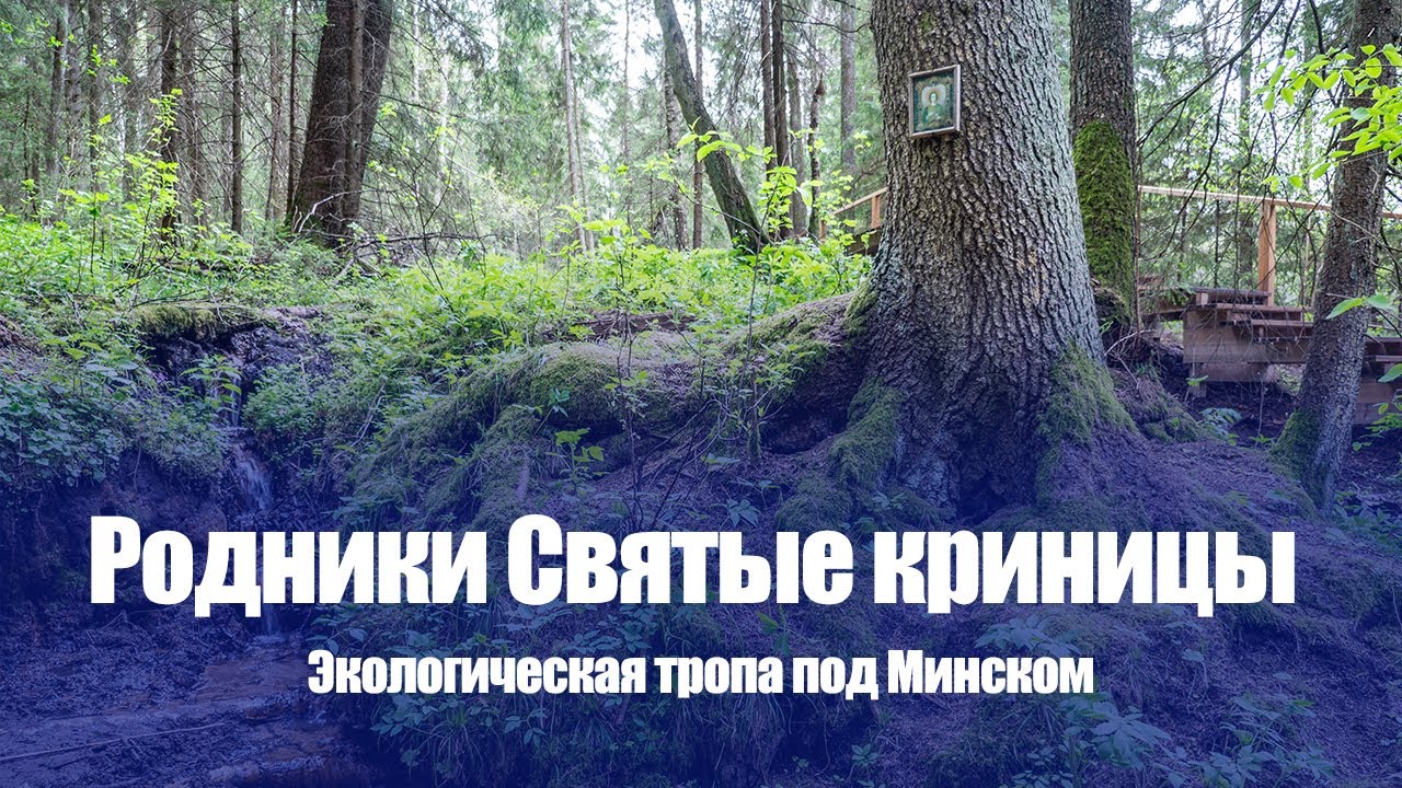 Экологическая тропа Святые родники