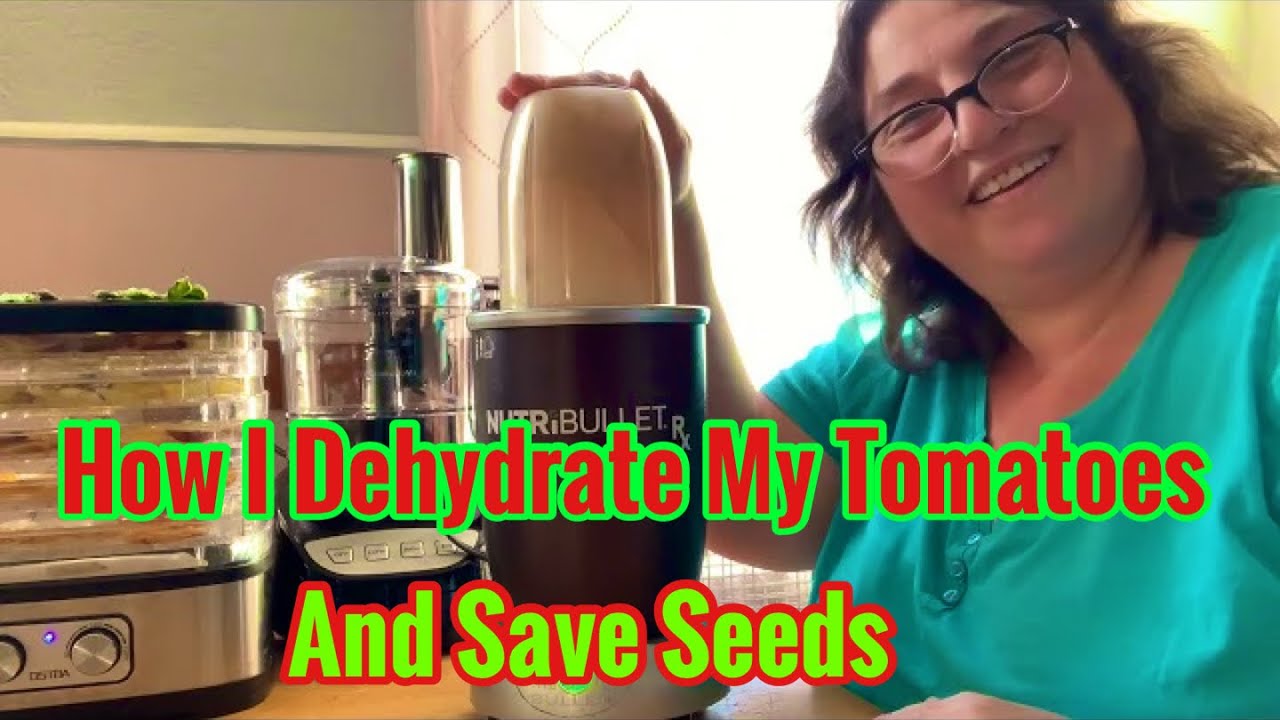 Dehydrating Cherry Tomatoes and Saving Seeds