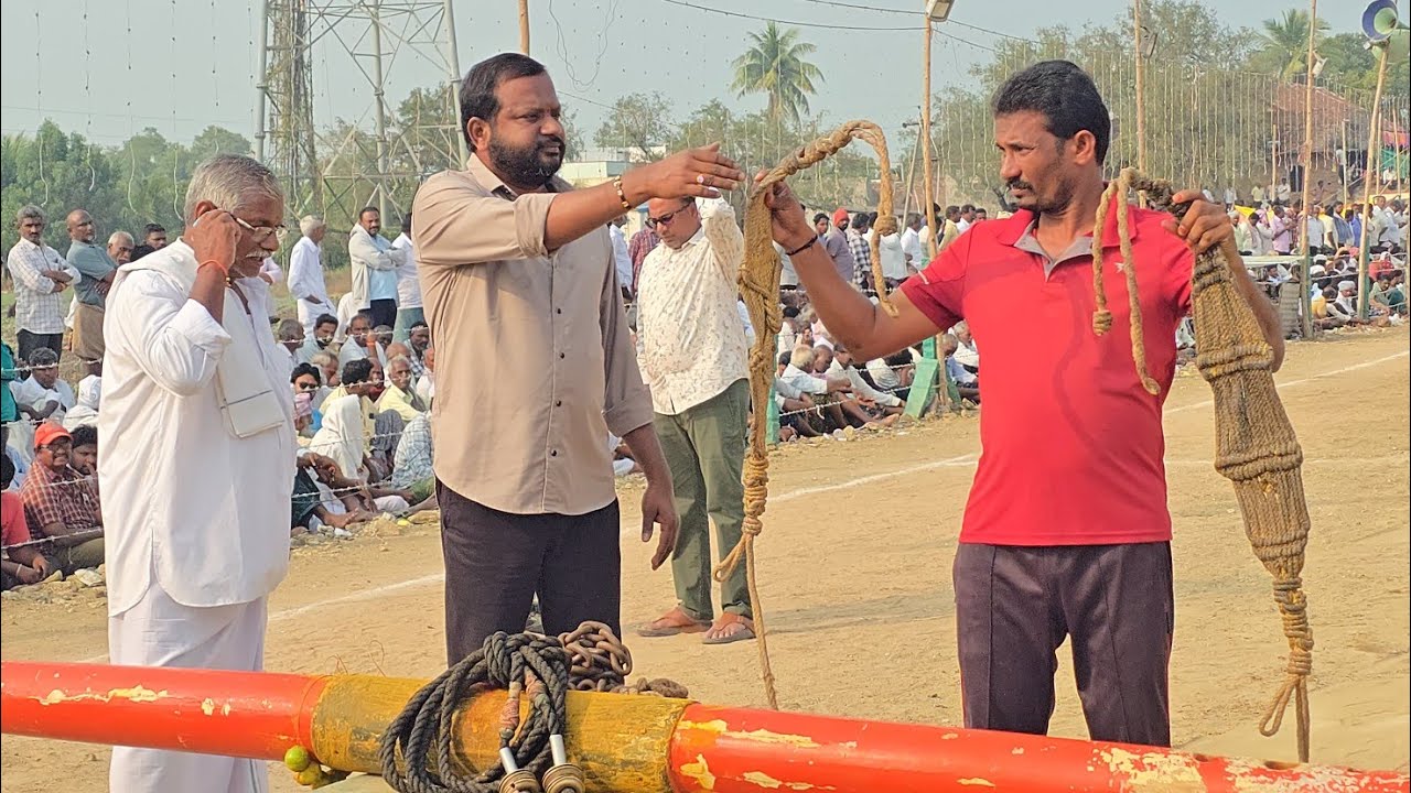 అన్నంబొట్లవారిపాలెం సీనియర్స్ 3జత.కాసన్నేని రాజా చౌదరి గారు_వల్లభనేని మోహన్ రావు గారి గిత్తలు 2733.6
