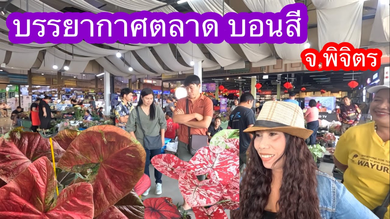 บรรยากาศตลาดบอนสี จ.พิจิตร