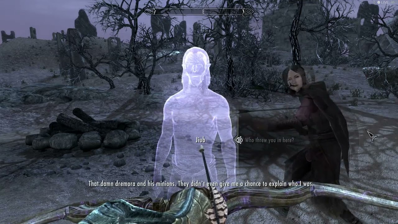 Skyrim funny NPC behavior
