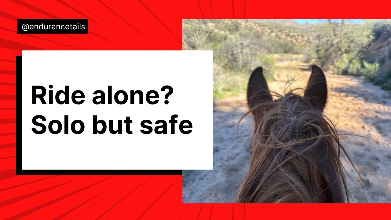 Riding Endurance Horses Alone: Why I Do It & How I Stay Safe