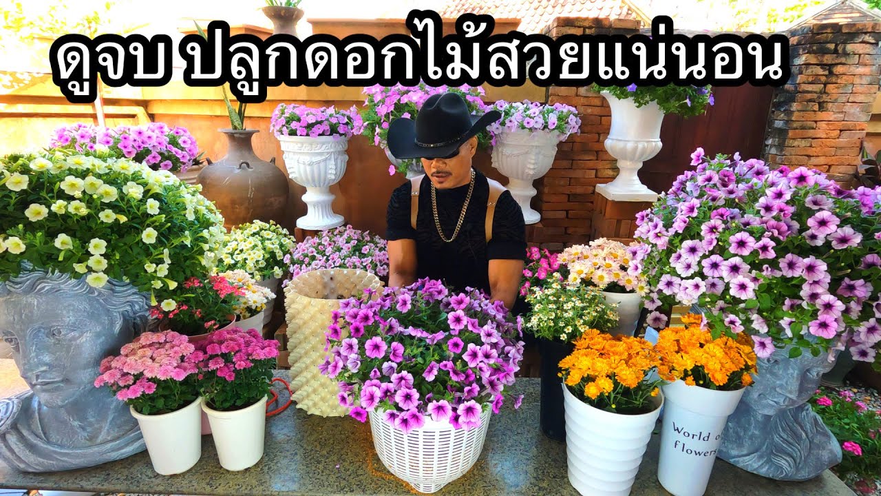 วิธีปลูกต้นไม้ดอกไม้ ให้สวยงาม พุ่มใหญ่ ดอกดก อยู่ได้นาน สไตล์@mr. Flowers