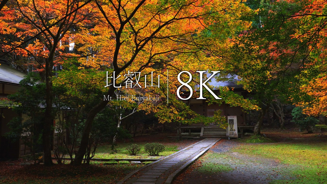 【最澄の寺を歩く】比叡山延暦寺の秋を訪ねて - JAPAN in 8K