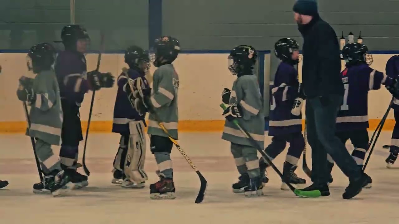 Wolverines The Final Game