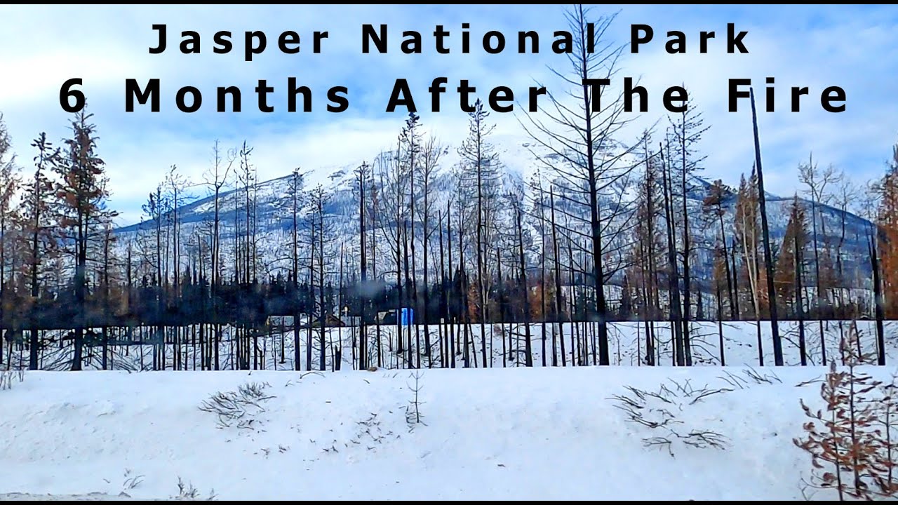 Jasper National Park | 6 Months After The 2024 Fire | Drive Through