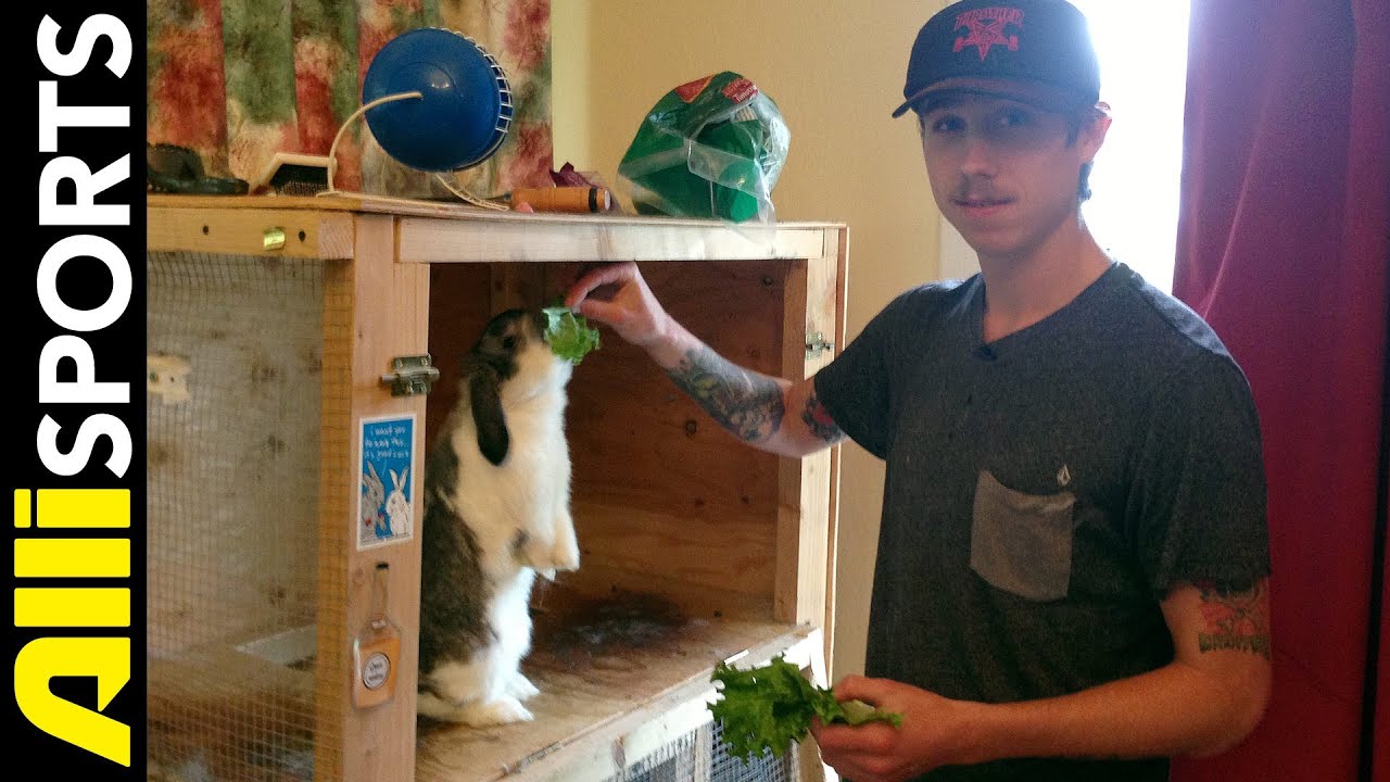 David Gravette's Skate Vid & Gun Collection, Pet Rabbit + Home Tour, Alli Sports Space Invader