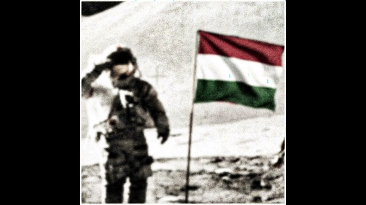 hungarian space program