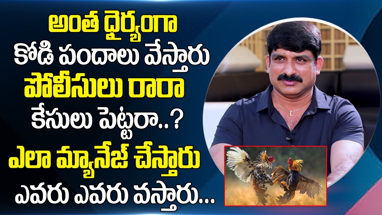 కోడి పందాలకు ఎవరు ఎవరు వస్తారు | Vempa Kasi Sankratiki Panduga Kodi Pandalu | Sumantv Telugu