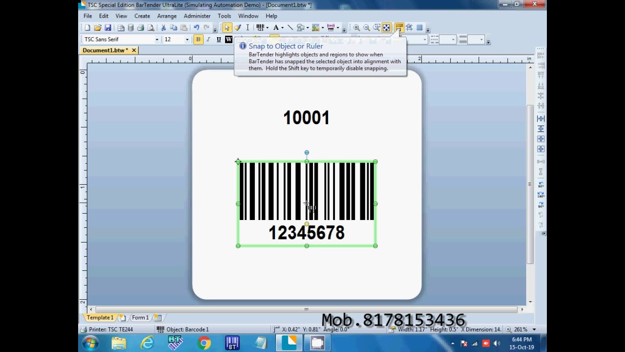 Print barcode using bartender | How to Print Serial Barcode Number in Bartender software |