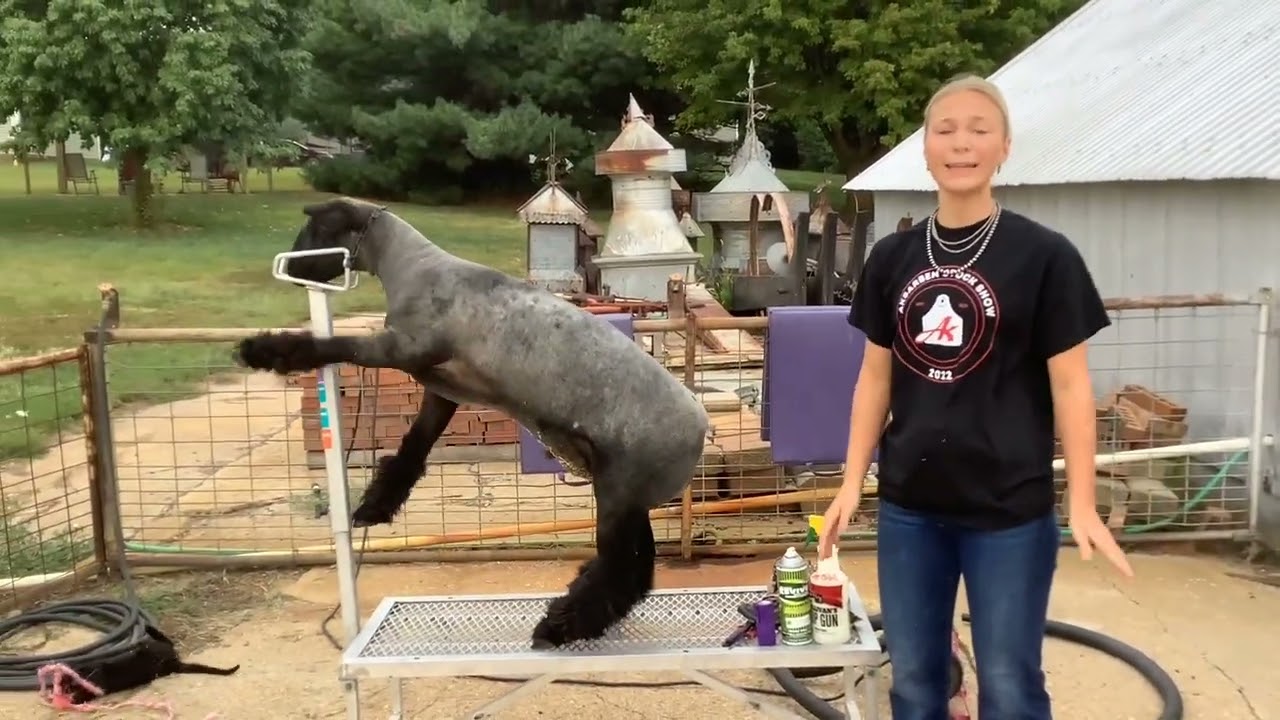 Allison’s Demonstration Speech: How To Maintain Lamb Leg Shag