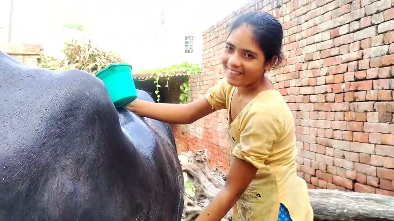 Aaj humne apni Rani ko nahlaya
