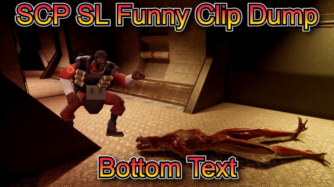 Silly SCP SL Clips | SCP Secret Laboratory