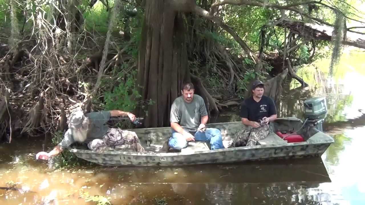 Fish Shocker Completed 2