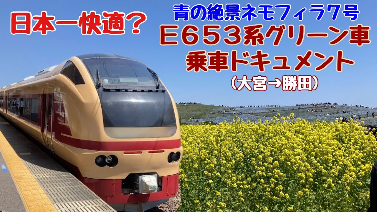 【忖度無しの辛口レポート】E653系特急青の絶景ネモフィラ号の豪華？グリーン車乗車ドキュメント(大宮→勝田)