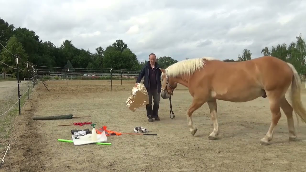 Mut-Mach-Training - Billy - 1
