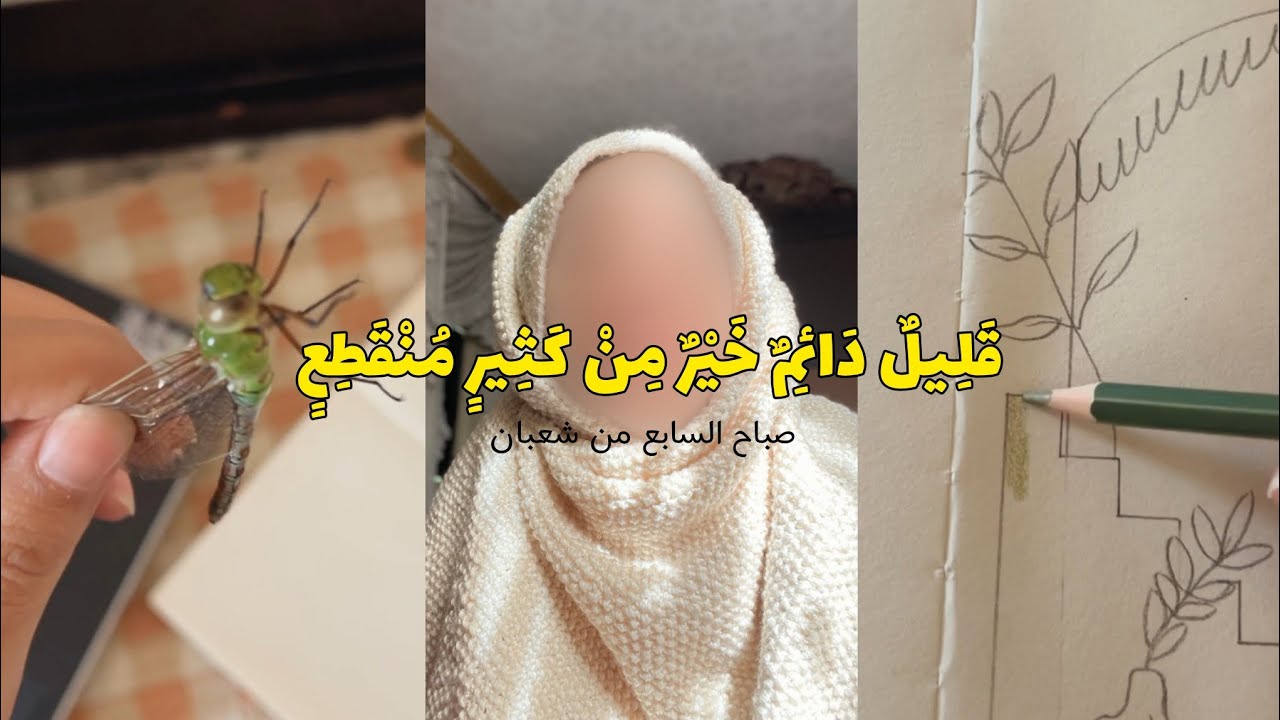 ذكريات منَّه || قليل دائم خير من كثير منقطع