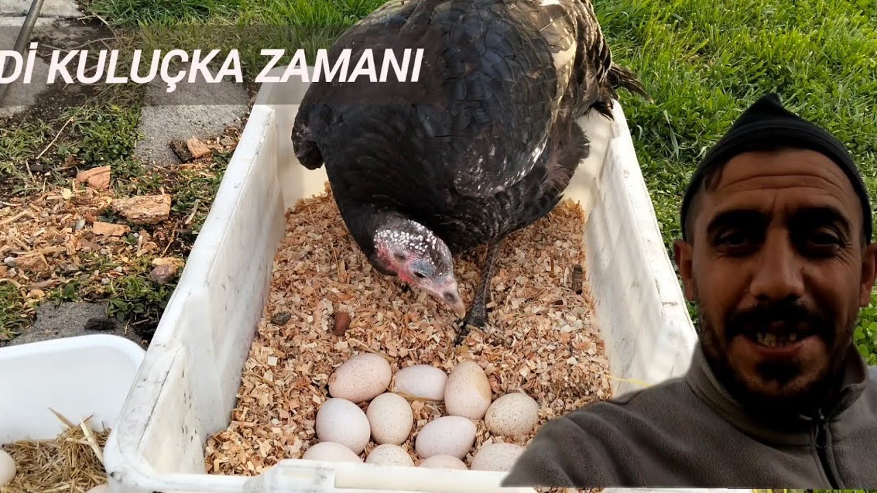 KÖYDE NİSAN YAĞMURLARI BAŞLADI İŞLER BAŞLIYOR