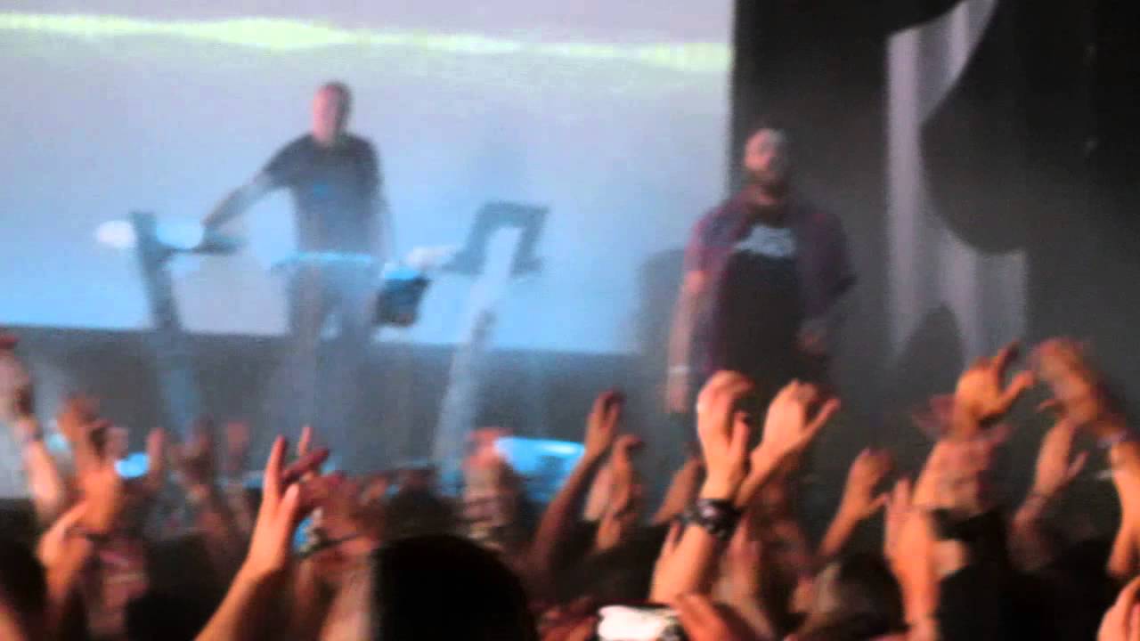 Neuroticfish - 