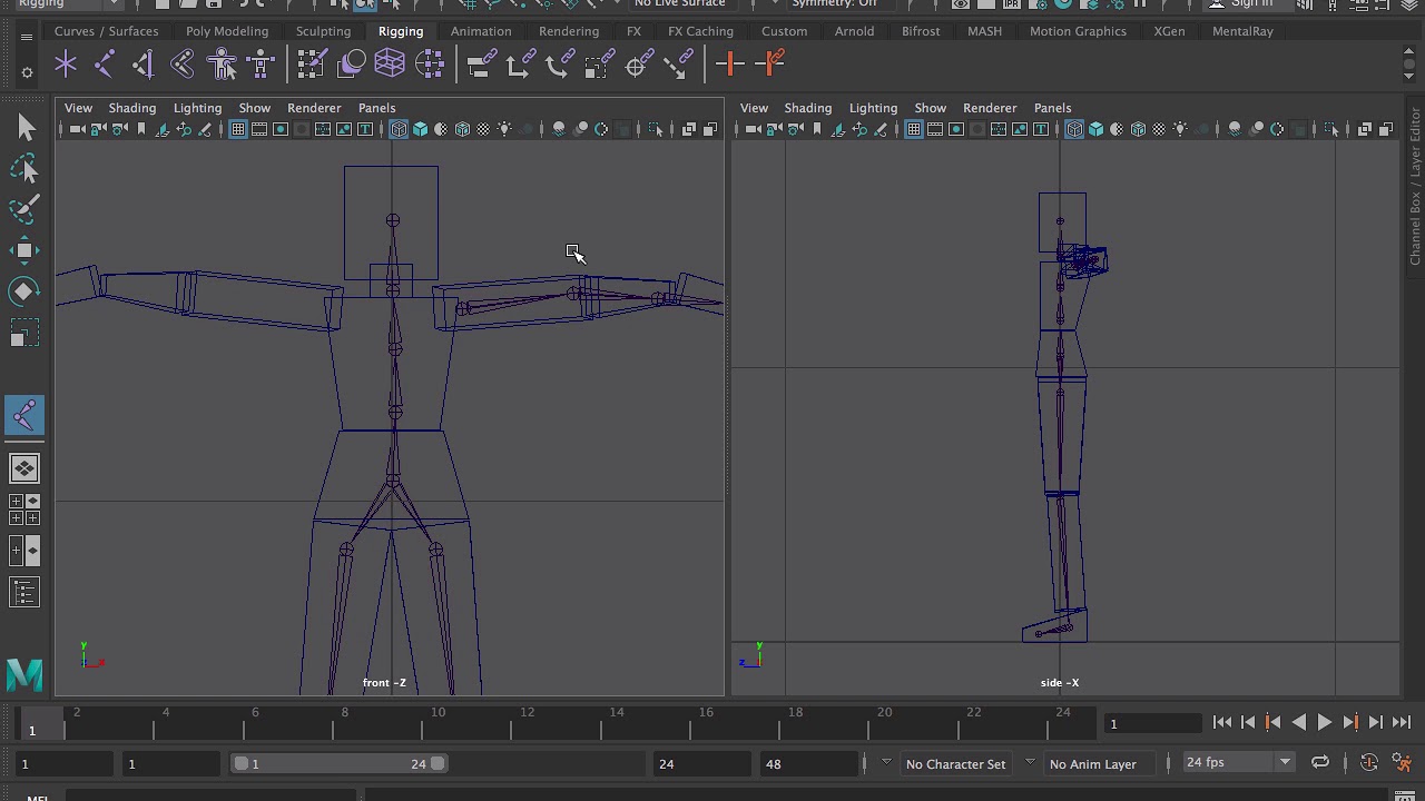 Rigging a Character Mesh