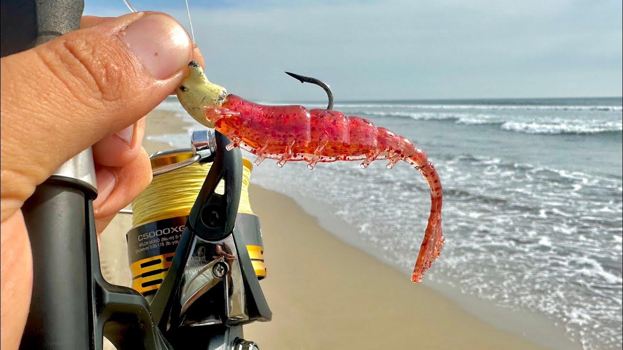 TIPS DE PESCA con CAMARÓN ARTIFICIAL en la PLAYA || pescando RÓBALOS y PARGO. 
